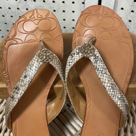 Coach - Picture 2 of 10